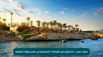 خريف مميز.. استمتع بأبرز الوجهات السياحية في مصر برفقة العائلة